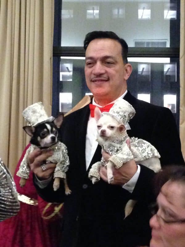 Stop Putting Clothes On Dogs Fidose of Reality