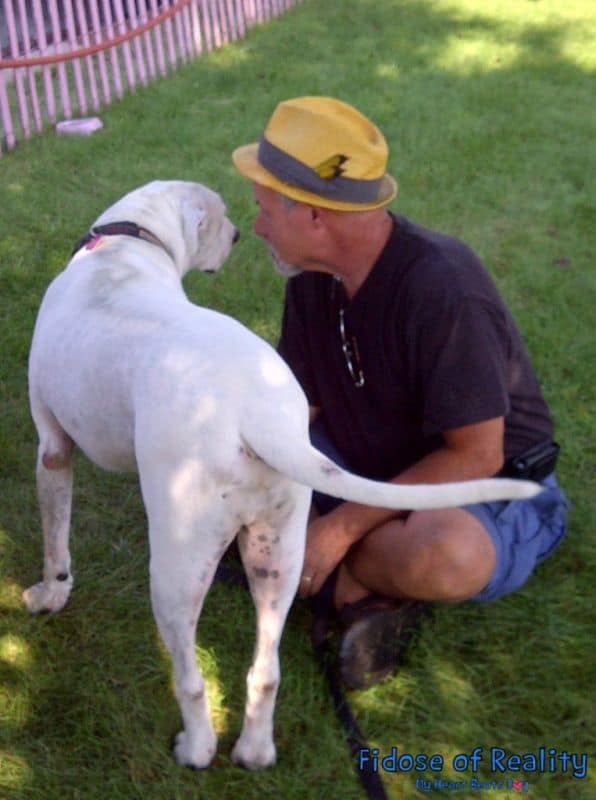 oogy the dog