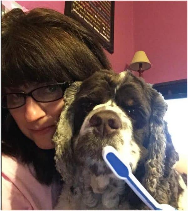 Why Does My Dog's Mouth Stink Fidose of Reality