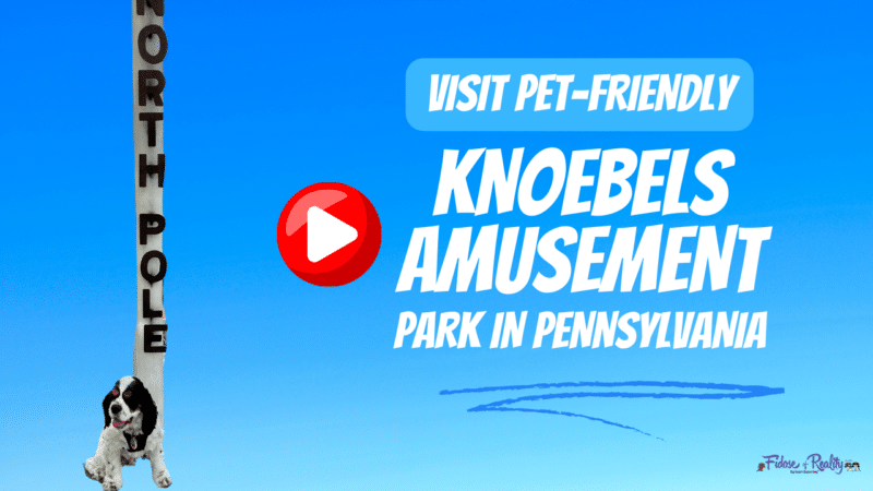 Knoebels allows pets