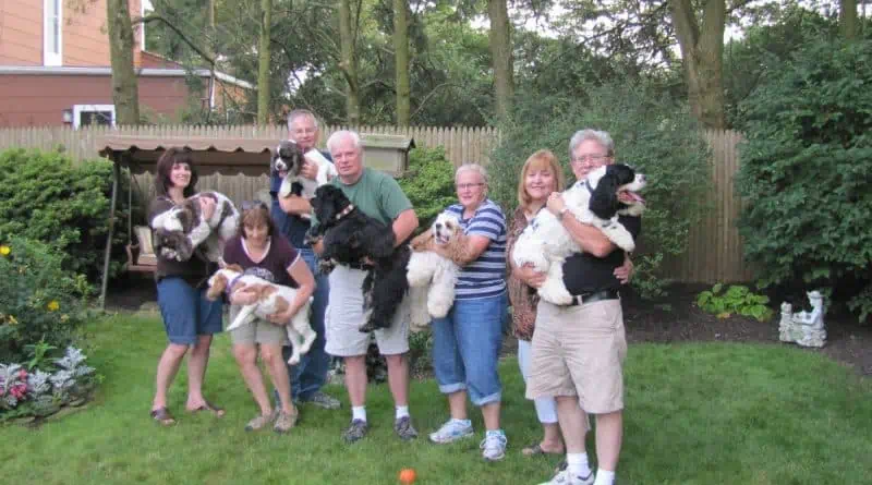 celebrate a dog's birthday party