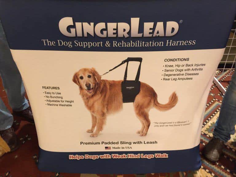 How to Manage a Dog After ACL Surgery Fidose of Reality