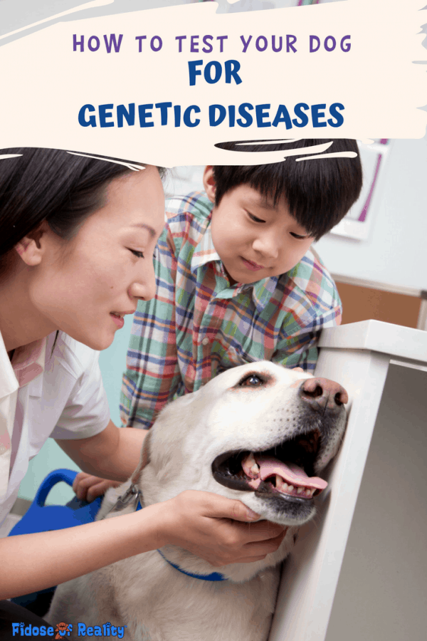 How to Test Your Dog for Diseases Fidose of Reality