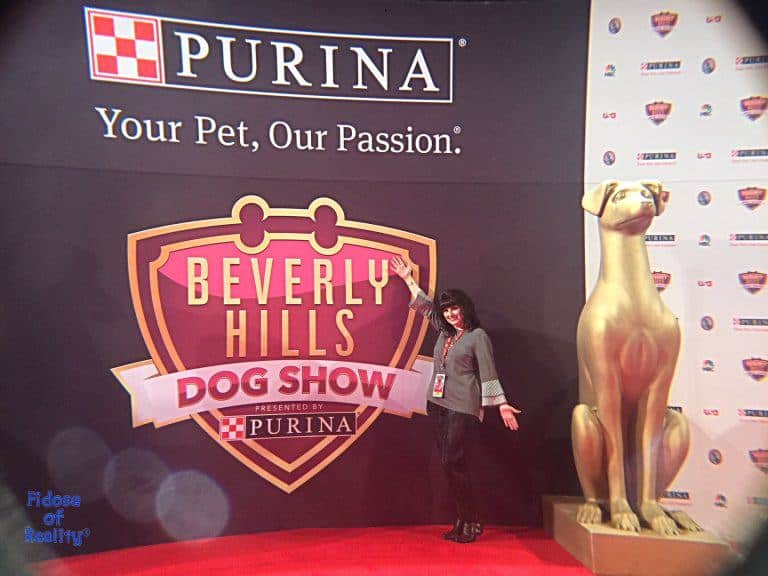 Exclusive Beverly Hills Dog Show Backstage Pass Fidose of Reality