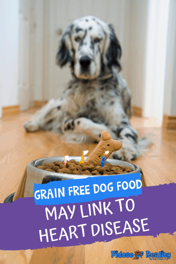Grain Free Dog Foods May Link To Heart Disease Fidose of Reality