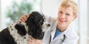 dog for fecal check at vet