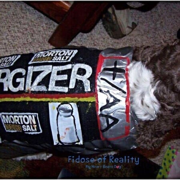 creative best dog halloween costume idea