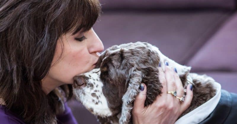 fear of a dog dying