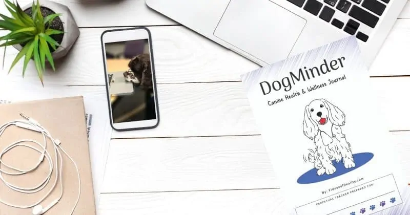 keep track of dog health records