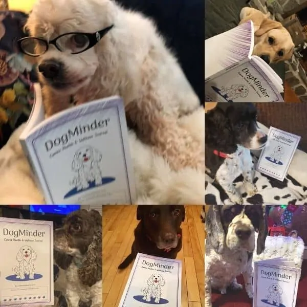 dogminder to track cocker glaucoma