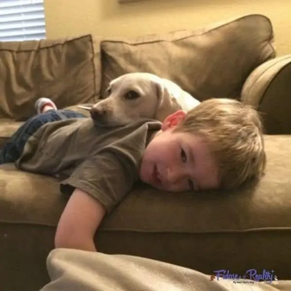 teaching respect for dogs to kids