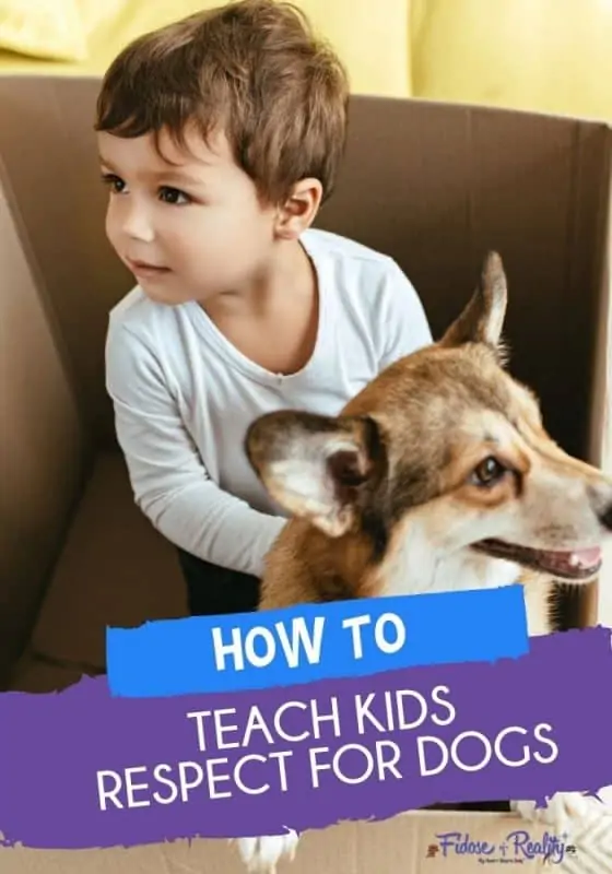 How to teach kids respect for dogs