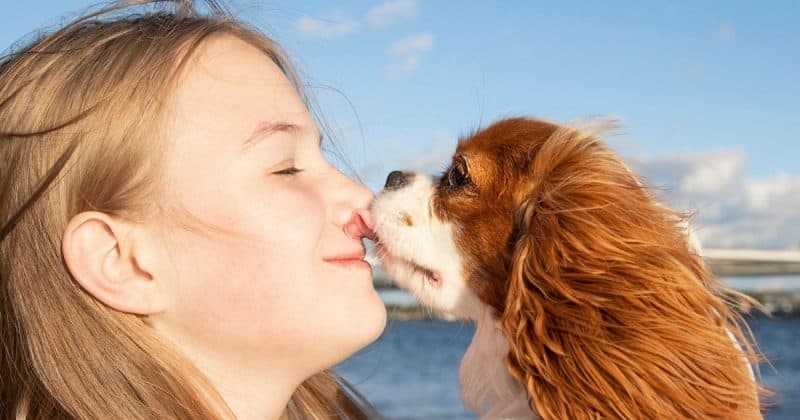 girl kissing her dog after surgery