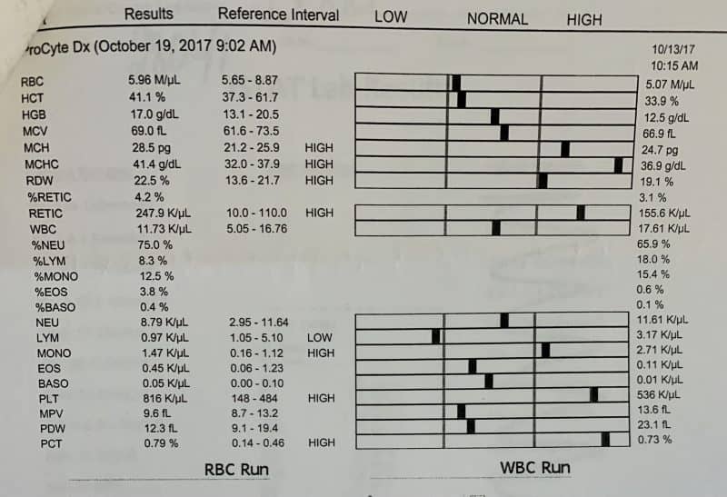 Testing my dog's blood platelets after autoimmune disease diagnosis.