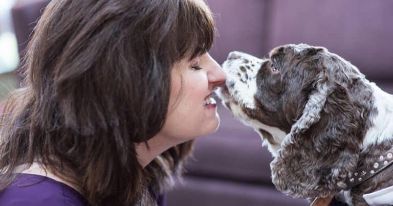 Kisses for dog with autoimmune disease
