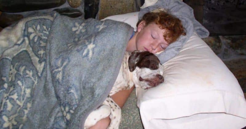 where should my dog sleep at night time