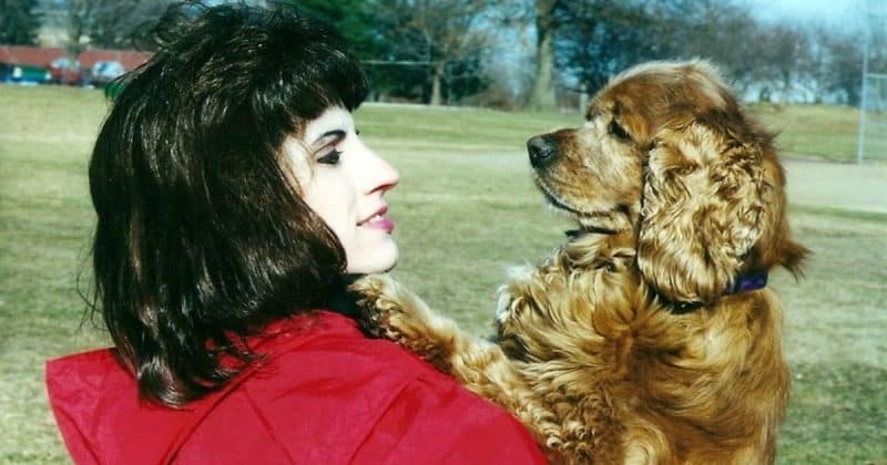 Cocker Spaniel staring at her owner with love in her eyes