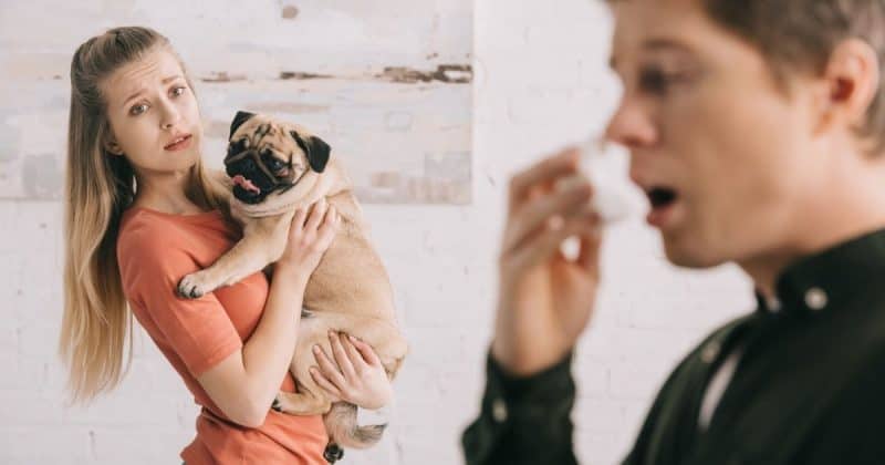 Man sneezes because of dog dander