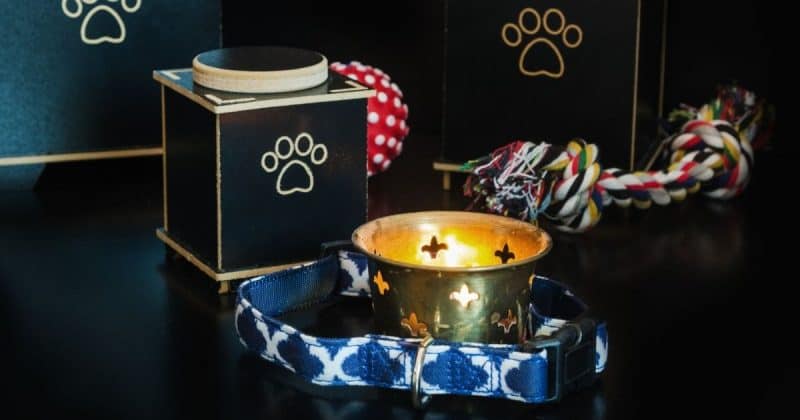 Tribute to deceased dog