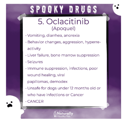 Apoquel Side Effects and Alternatives - Fidose of Reality