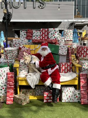 dog with Santa plays