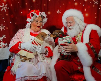 Mrs Mr Claus dogs