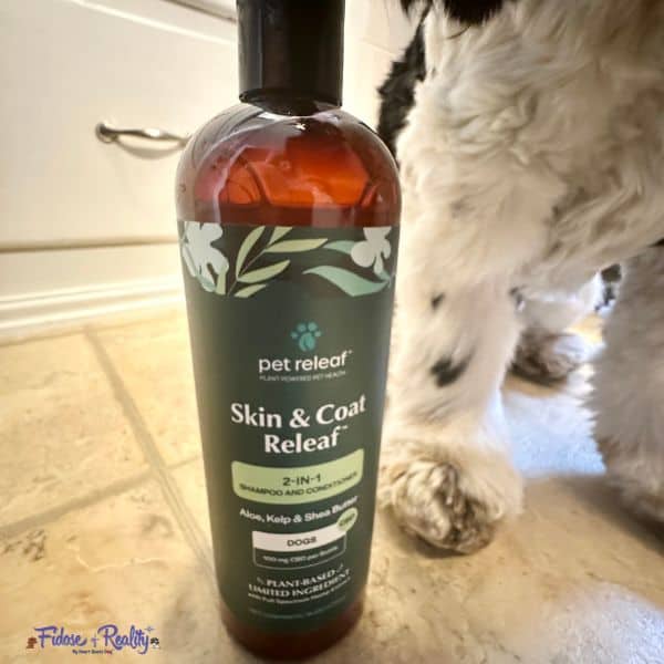 dog posing with dog shampoo with cbd