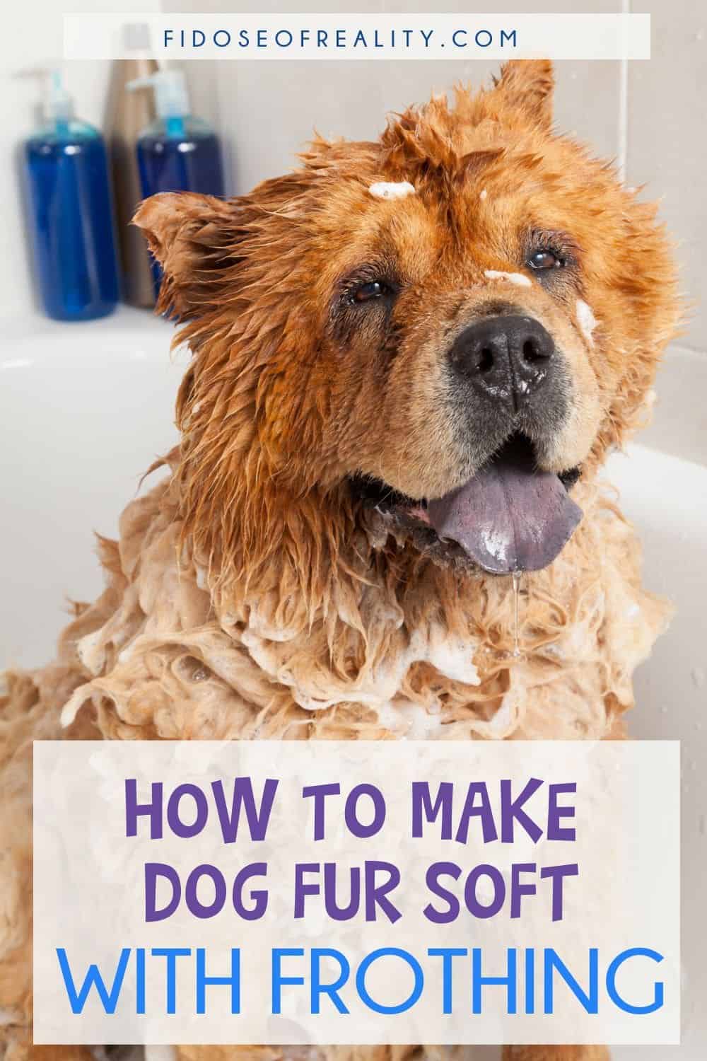 How To Make Dog Fur Soft With Frothing Fidose of Reality