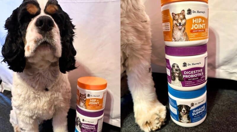 chewable supplements dog