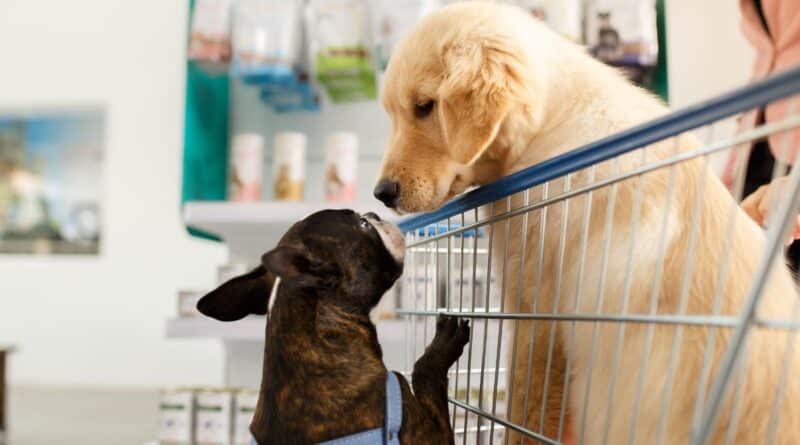 dogs in cart shop