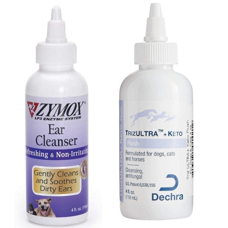 How to Clean Cocker Spaniel Ears Expert Advice Fidose of Reality