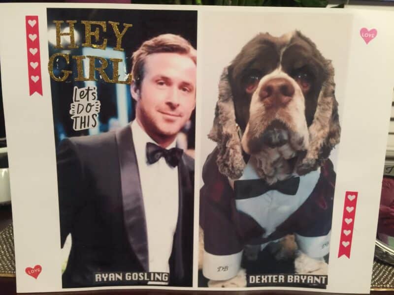 Ryan and Dexter dressed in costumes for Halloween