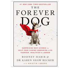 Forever Dog gifts for cocker spaniel moms