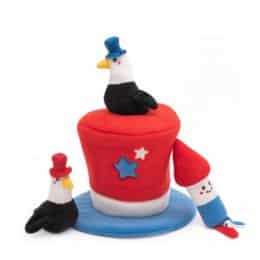 Patriotic toy team USA summer games