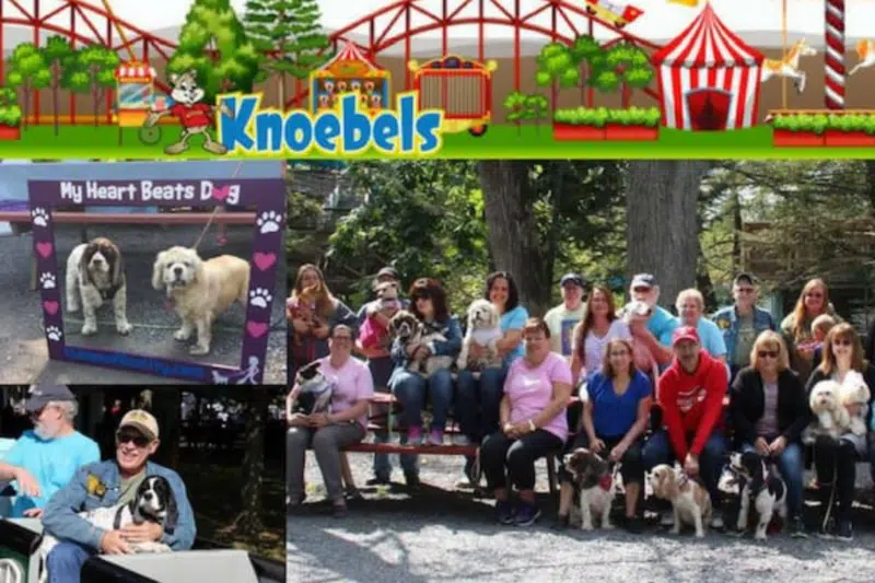 Knoebels park welcomes dogs