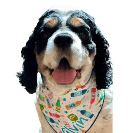 Bandana for Cockers for Cocker Spaniel Gift Ideas