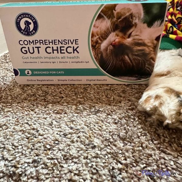Comprehensive gut check for cats or dogs