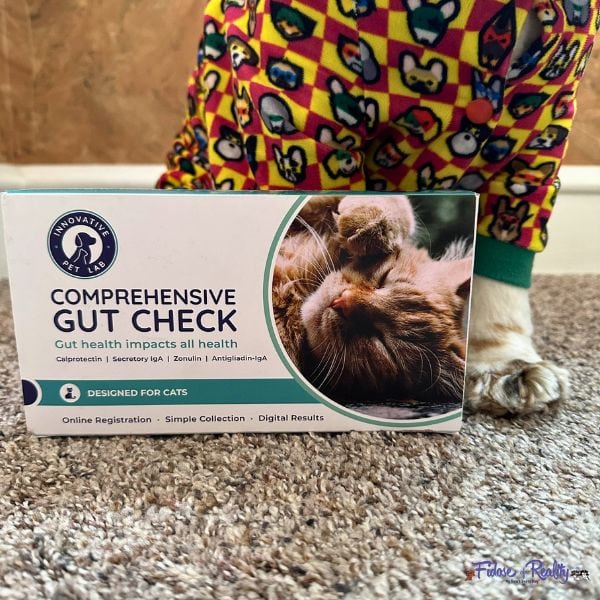 Dog sits by dog gut health test box