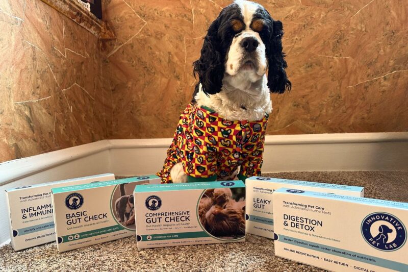 Innovative Pet Lab dog gut health testing