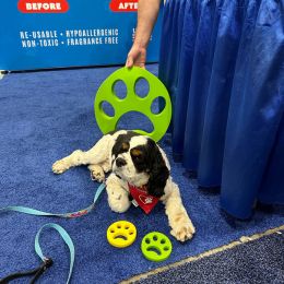 Cocker Spaniel with Furzapper product