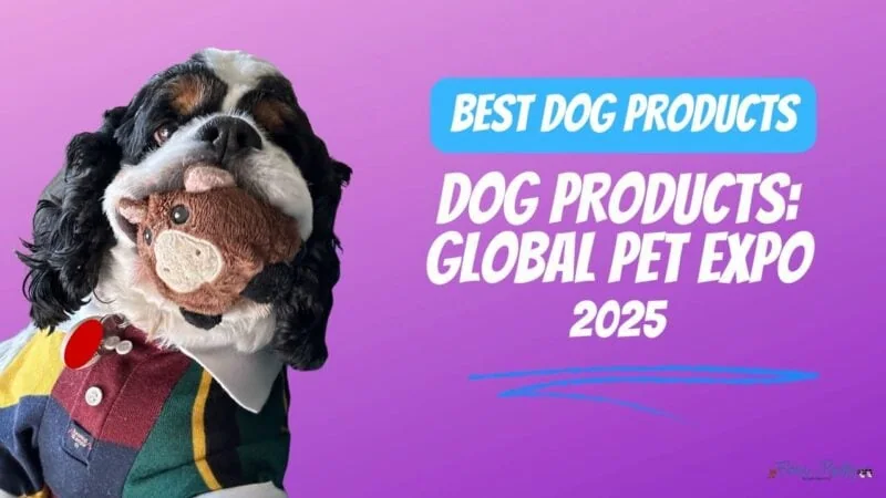 Best dog products from global pet expo