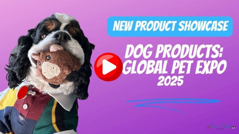 dog products from global pet expo