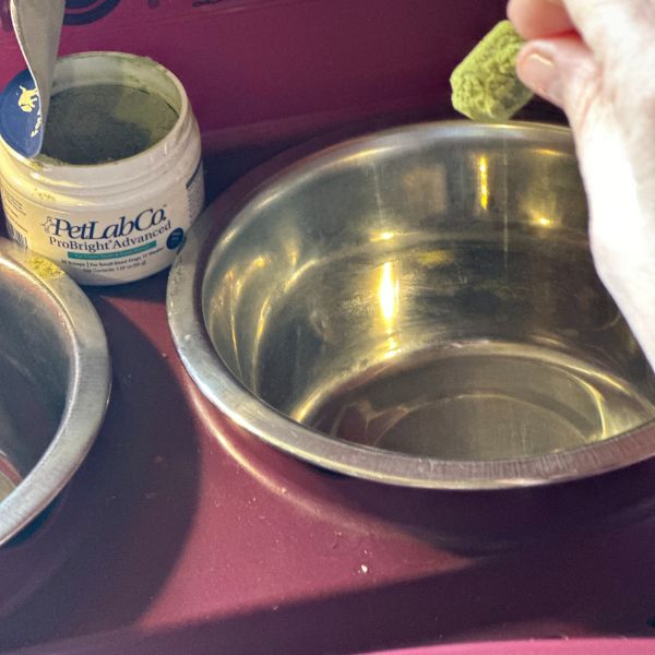 pouring dental powder for dogs into food bowl