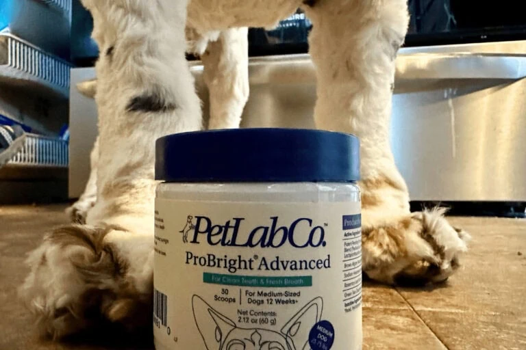 PetLab Co dog paws