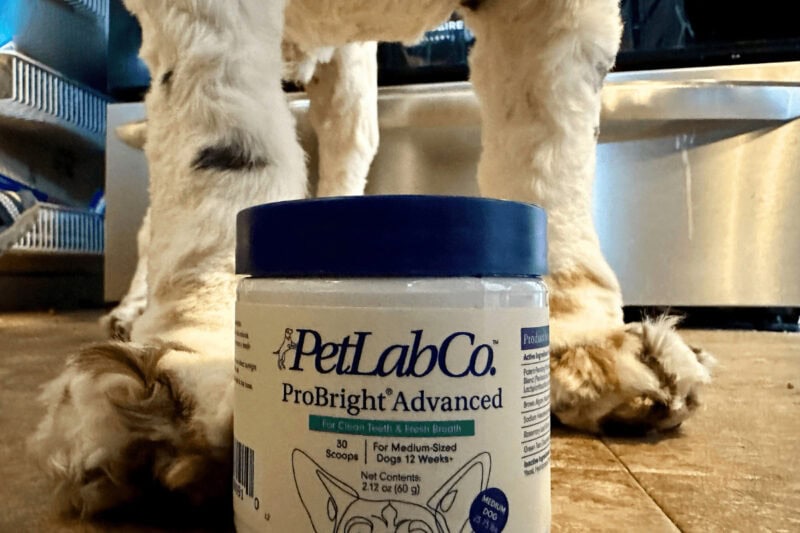 PetLab Co dog paws