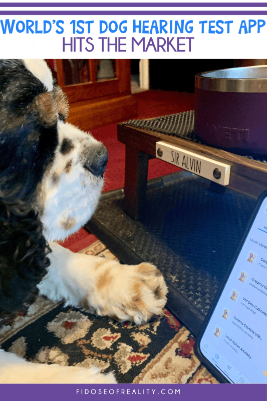 World's first hearing test for dogs hits the market