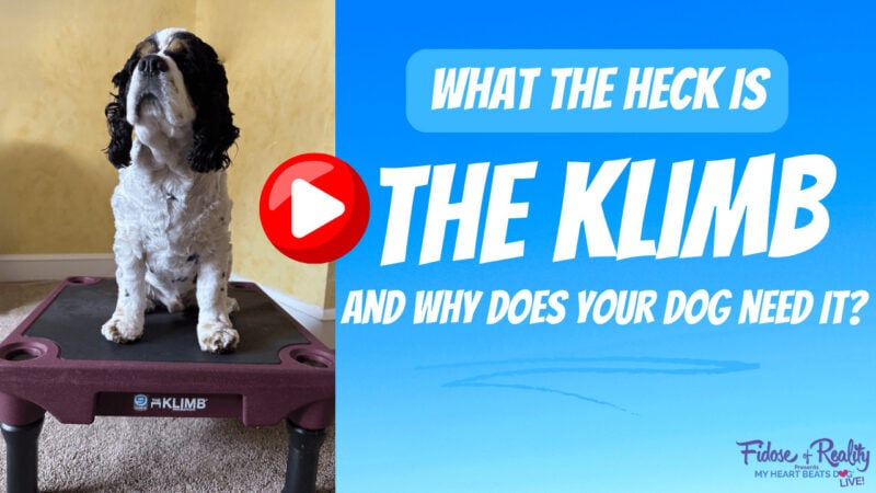 KLIMB for dogs training