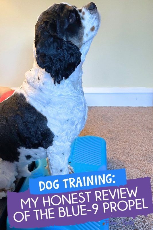 Dog training tools with Blue-9 Pet Products Propel