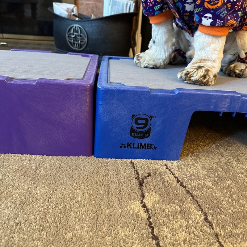 Klimb Jr for common dog behavioral problems