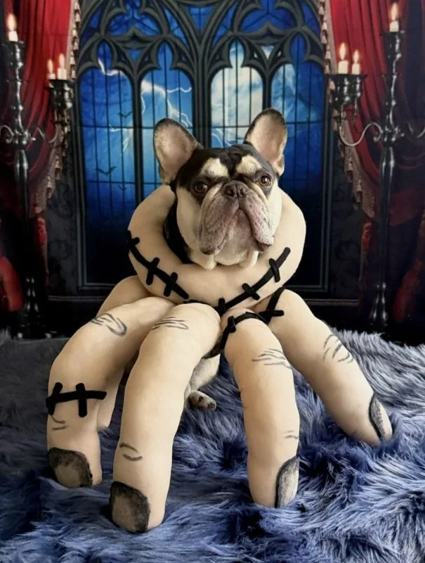 dog as Thing for Halloween